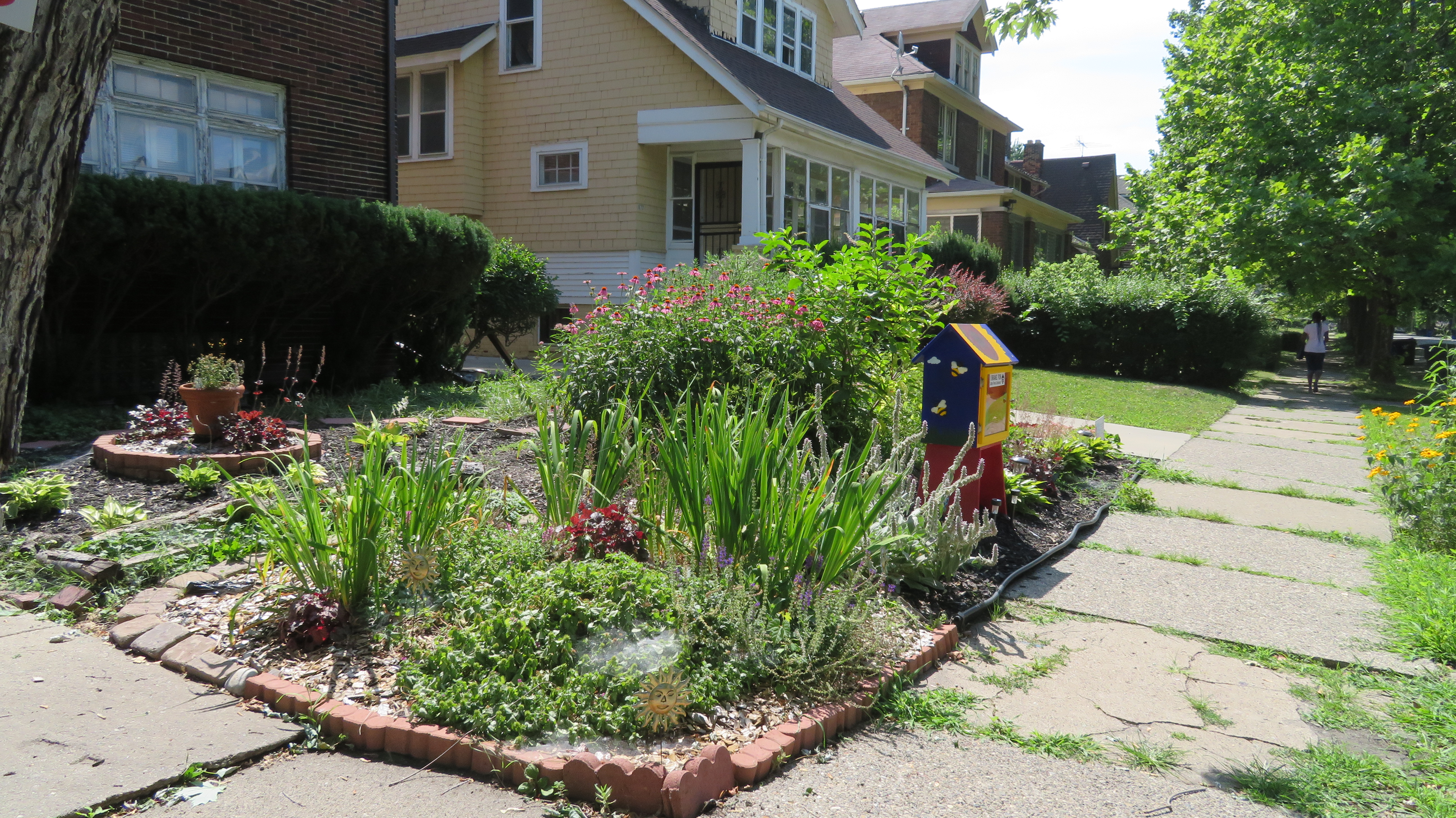 One of our early rain gardens!