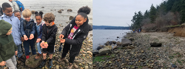 Madrona students learn about marine life on Seattle ICO trips. 