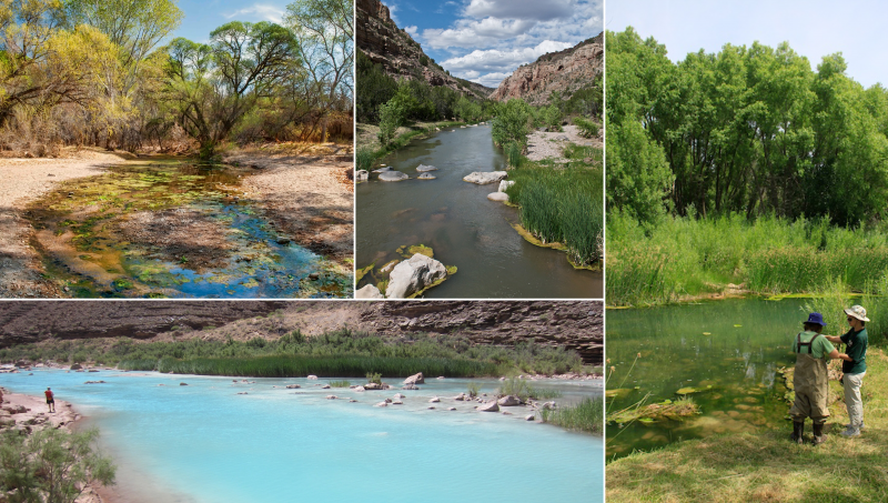 Cienega Creek by Ricardo Small, Verde River by Gary Beverly, Water Sentinels Monitoring the Verde by Mark Coryell, and Little Colorado River by Stu Williams