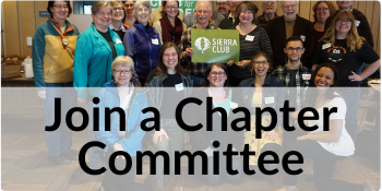Join a Chapter Committee
