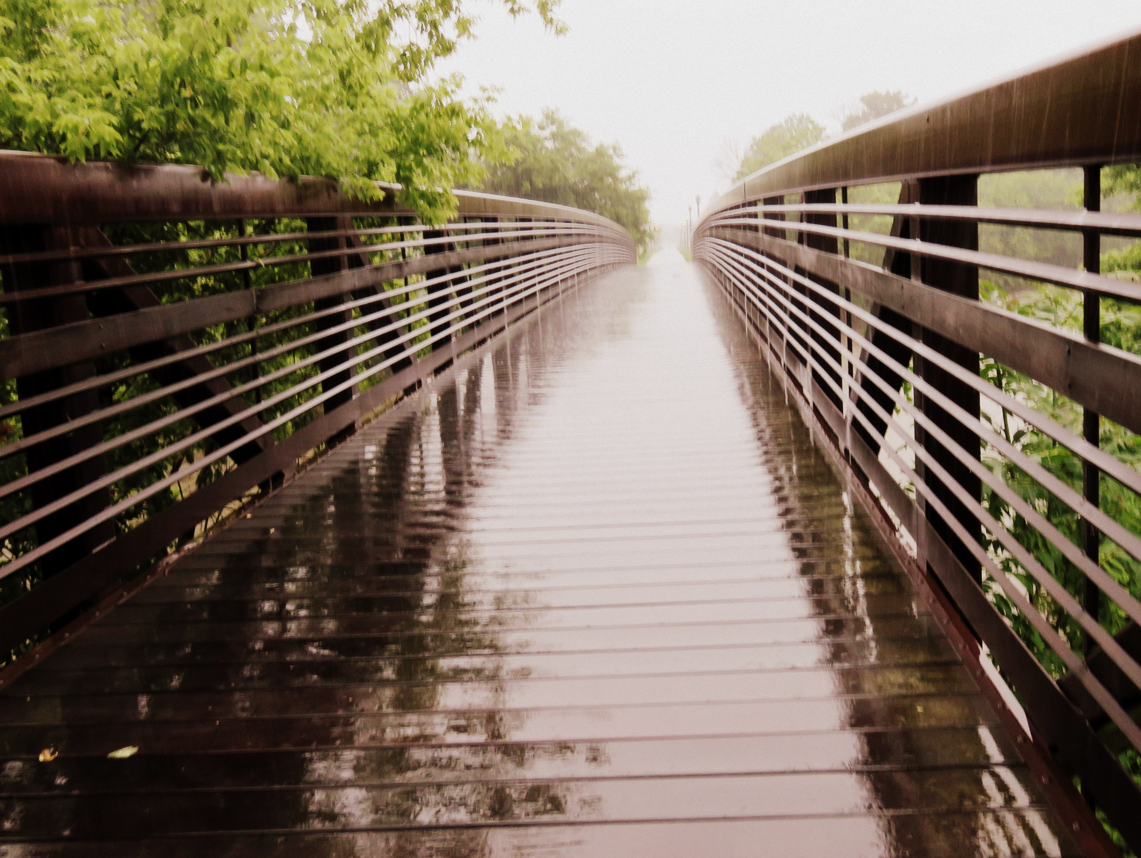 A walking bridge shiny after a rain