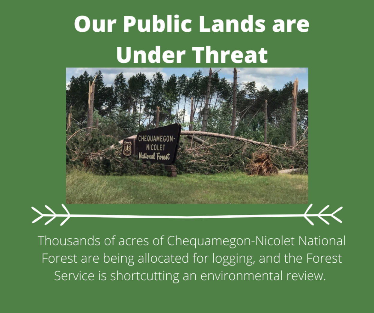 Felled trees in Chequamegon-Nicolet National Forest. Text reads: Our public lands are under threat. Thousands of acres are being allocated for logging and the Forest Service is shortcutting an environmental review.