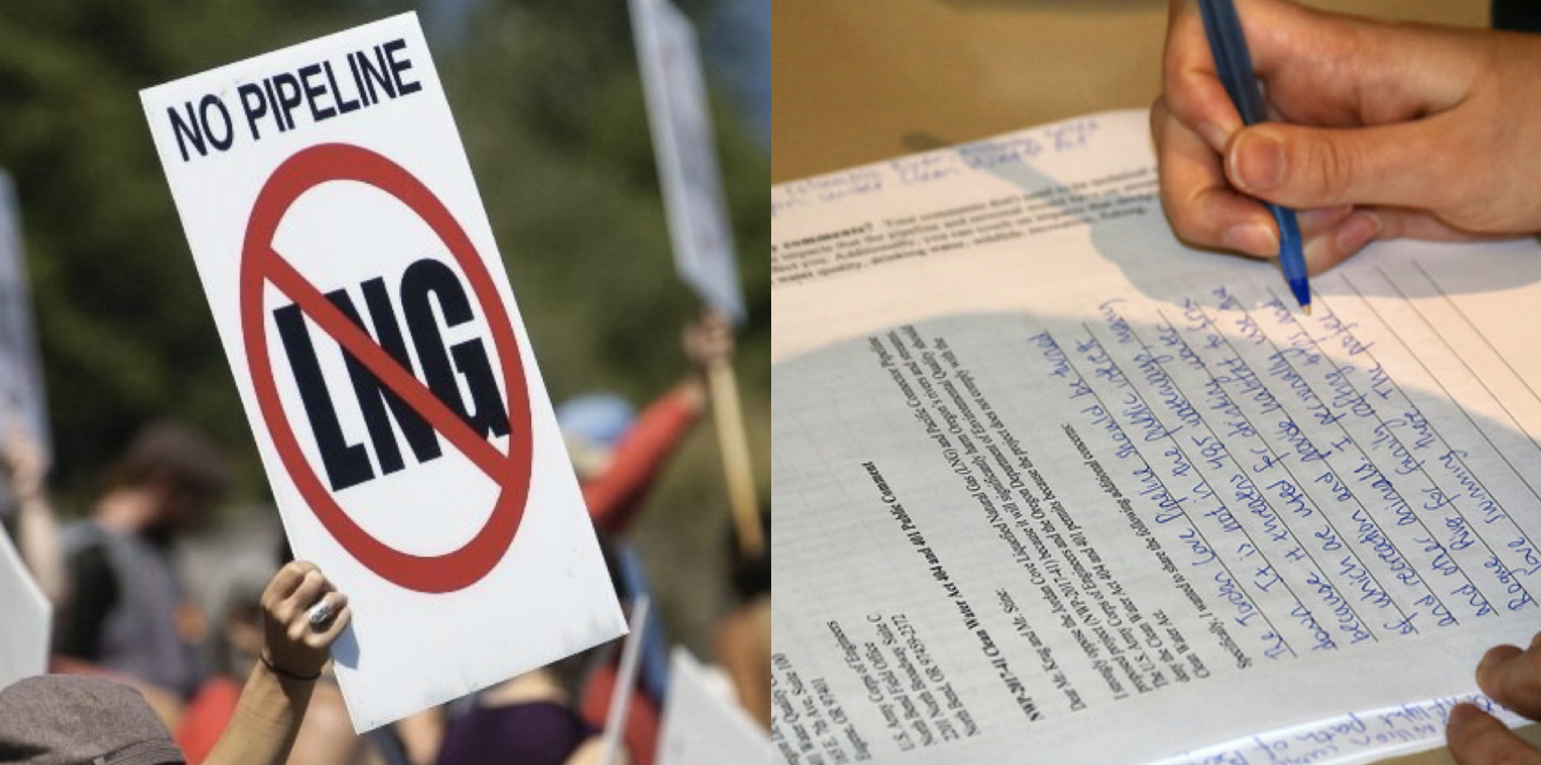 NO PIPELINE protest sign
