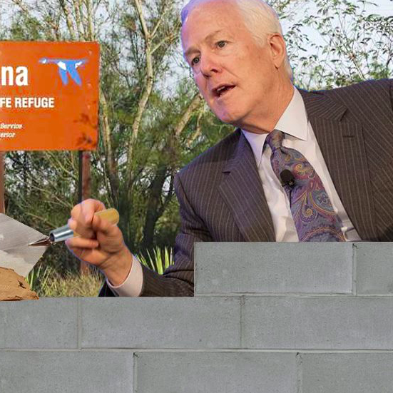 Sen Cornyn