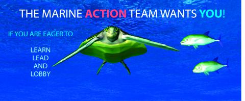 Marine Action Team Contest Flyer