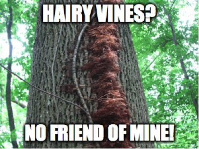 Description: Macintosh HD:Users:davidjalali:Desktop:nlvaq.jpg