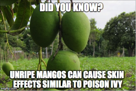 Description: Macintosh HD:Users:davidjalali:Desktop:nlv6x.jpg