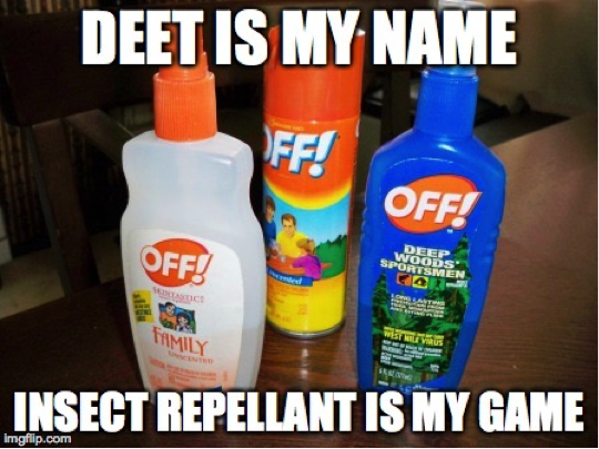 Description: Macintosh HD:Users:davidjalali:Desktop:nm06o.jpg