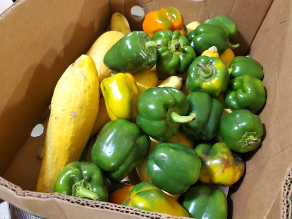 Peppers and squash in a cardboard box