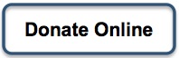 donate button