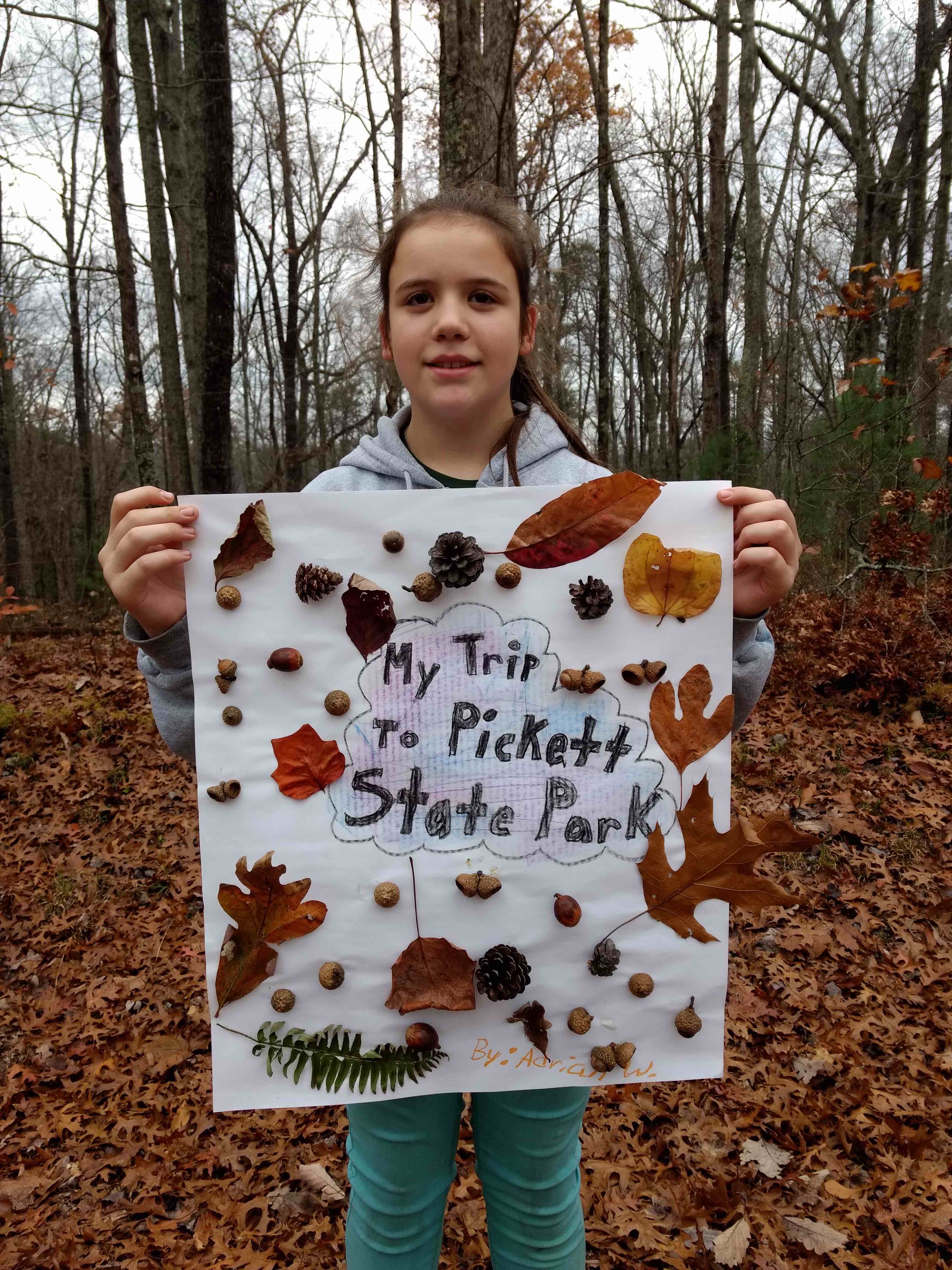 Participant Art Project