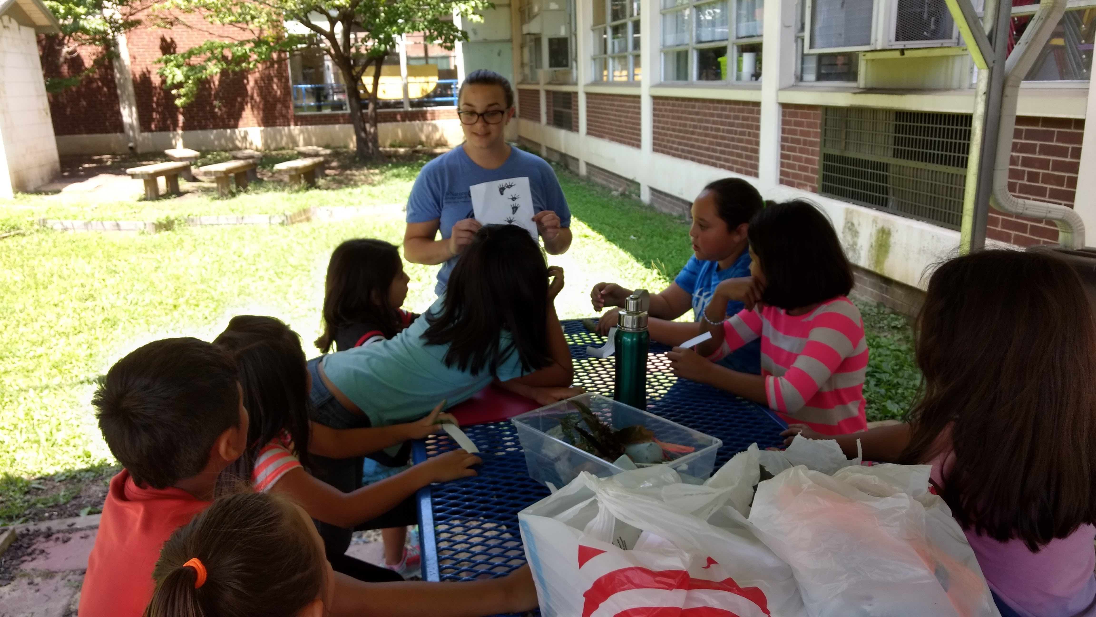 nature explorers cover photo