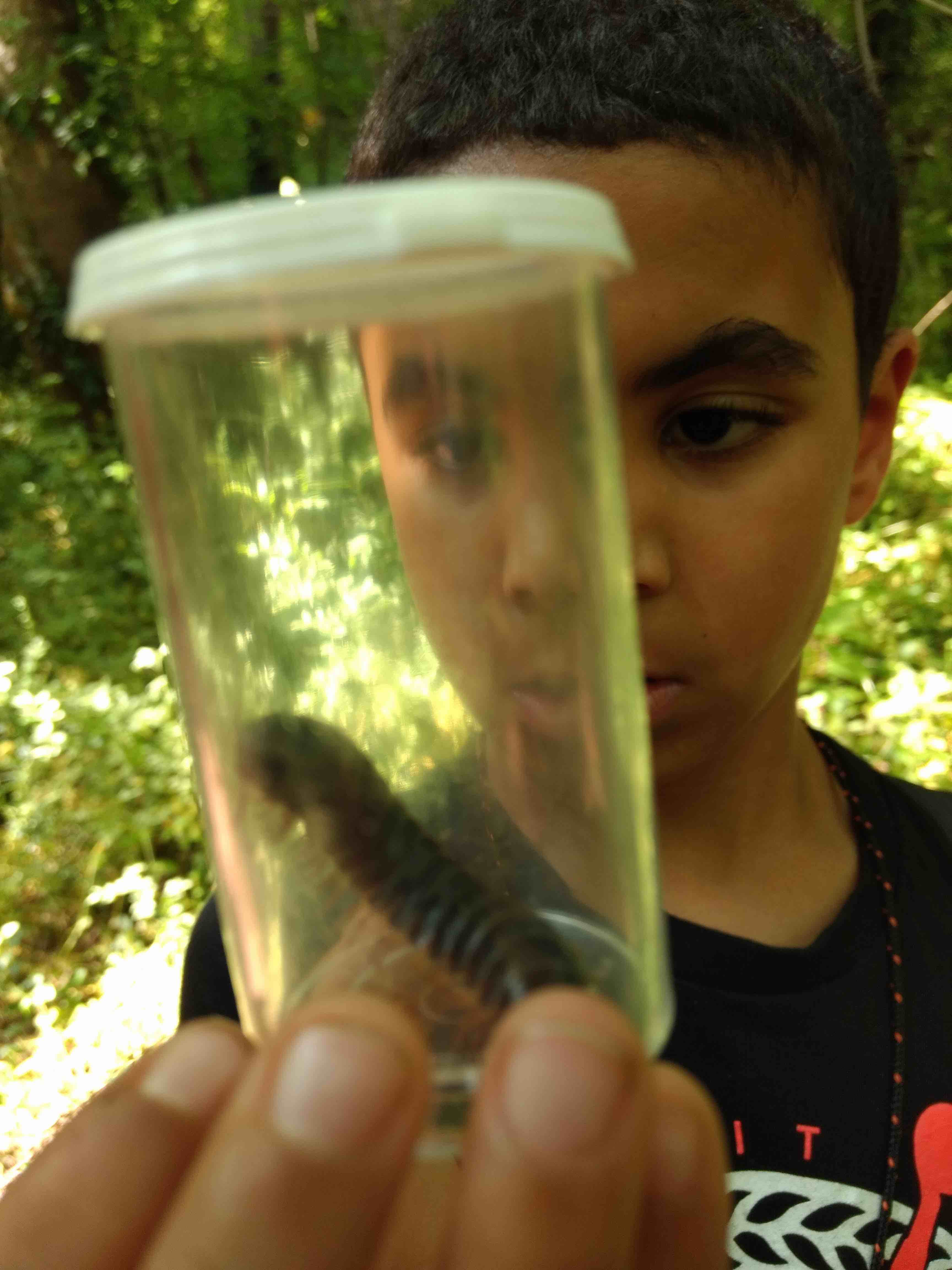 bug hunt at Baker Creek
