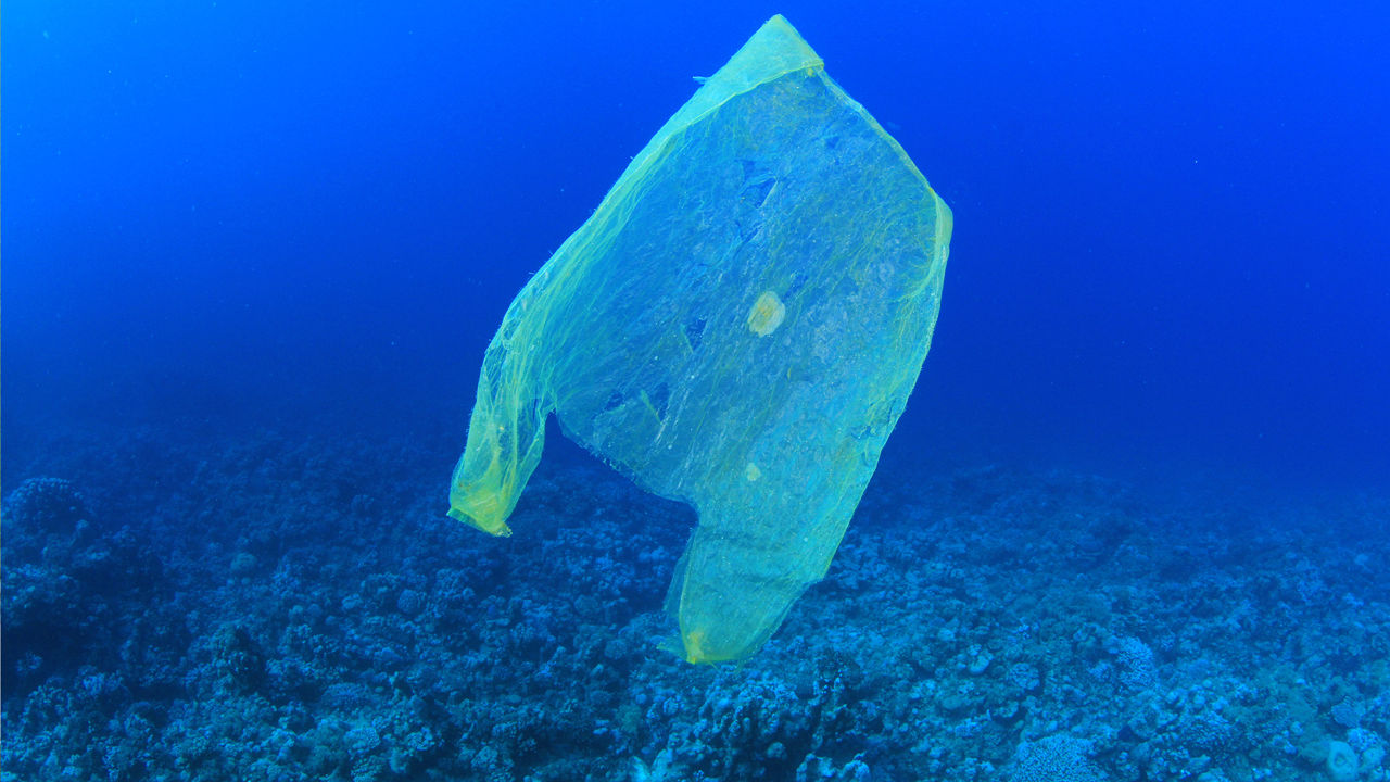 plastic bag in the ocean