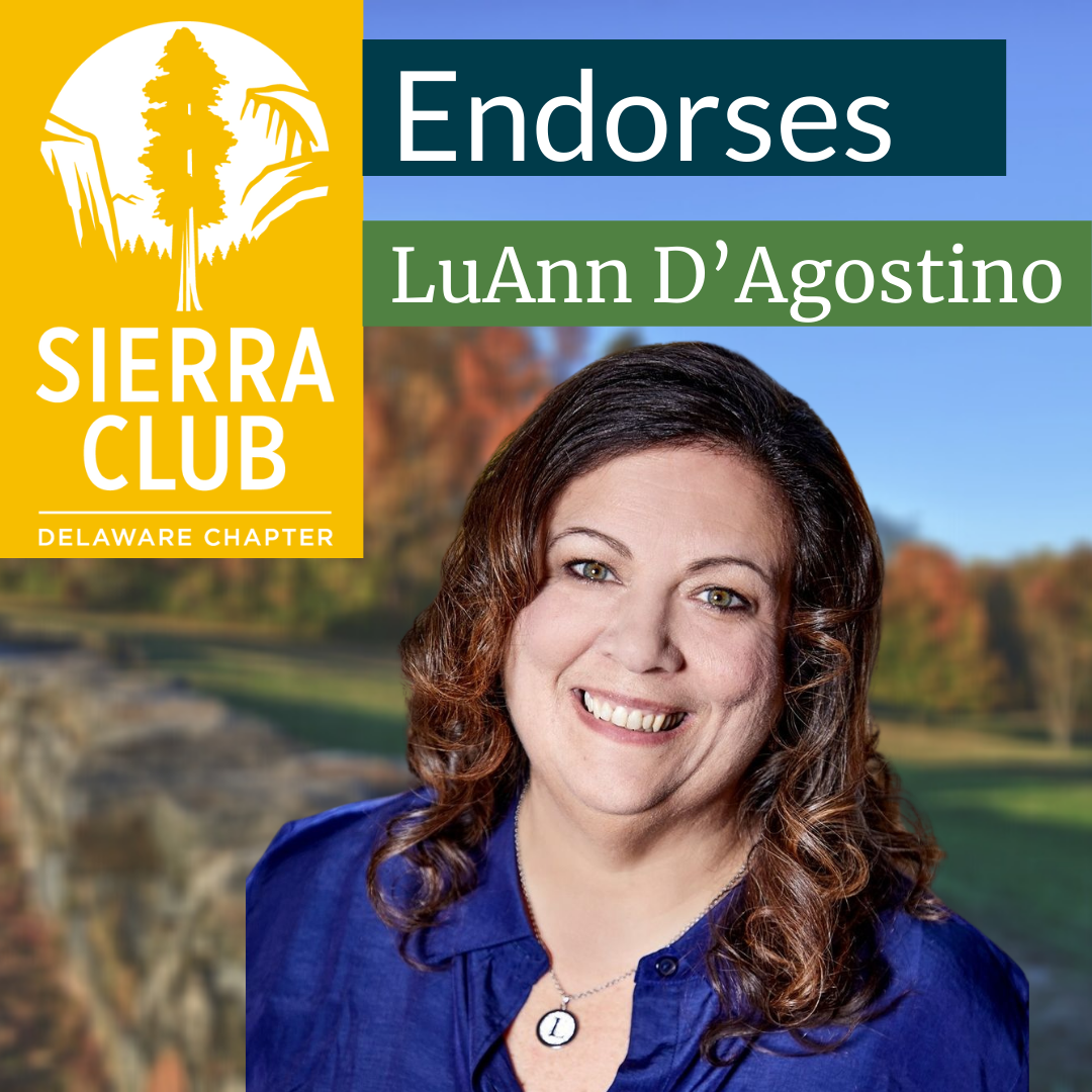 LuAnn D’Agostino endorsement LuAnn D’Agostino endorsement
