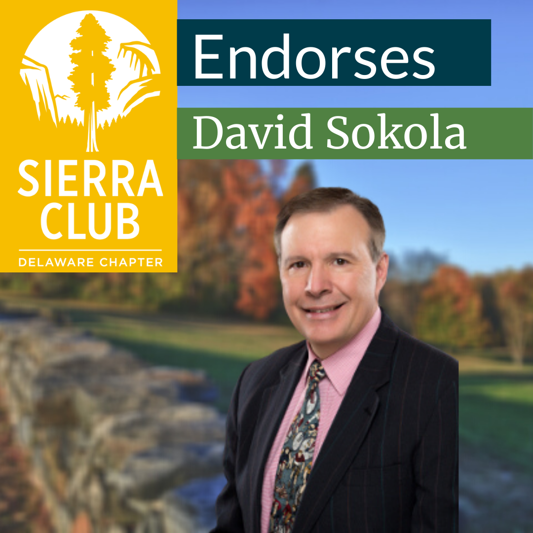 David Sokola Endorsement David Sokola Endorsement