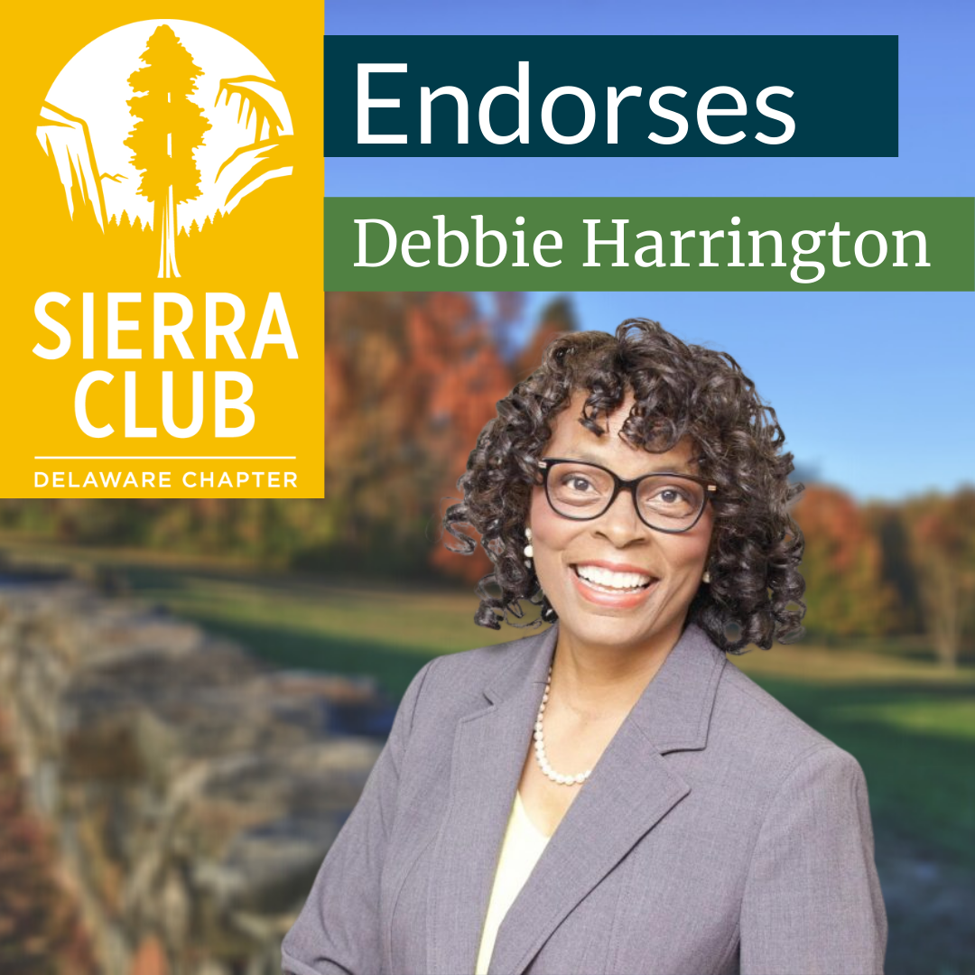 Debbie Harrington Endorsement Debbie Harrington Endorsement