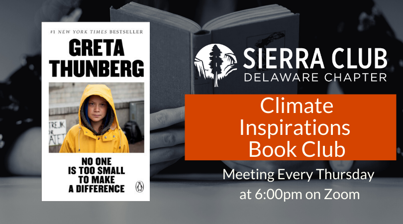 Infographic featuring cover of No One Is Too Small To Make A Difference