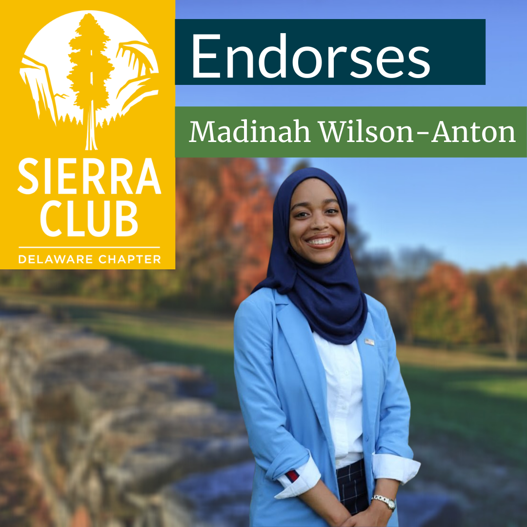 Madinah Wilson-Anton Endorsement Madinah Wilson-Anton Endorsement
