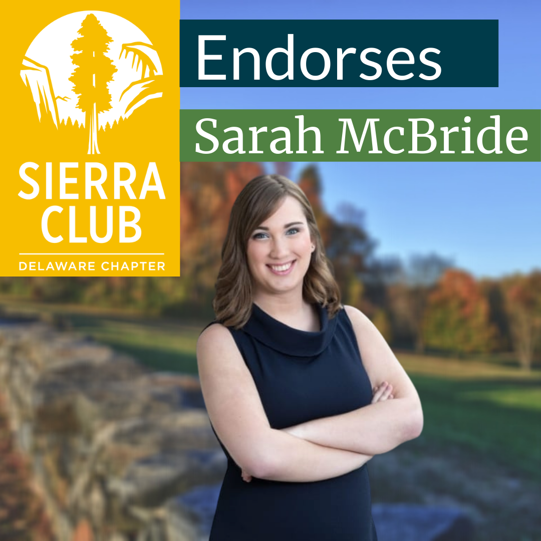 Sarah mcbride endorsement Sarah mcbride endorsement