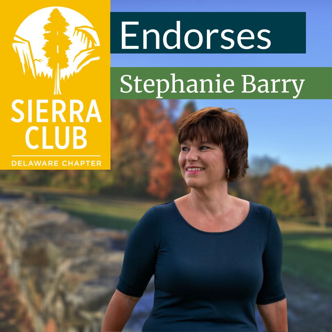 Stephanie Barry Endorsement Stephanie Barry Endorsement