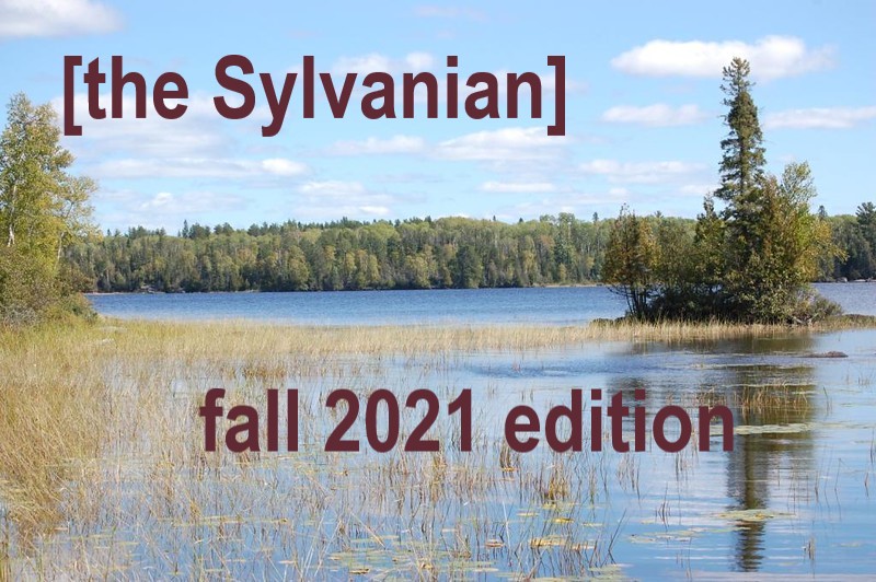 Autumn Lake by Superior National Forest