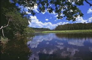 Mattawoman Creek Where One Goes Pleasantly