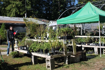 Native Plant Sale Howard Co at Grandfathers Garden nursery Jade Martucci 9 2016 by Joanne Heckman web