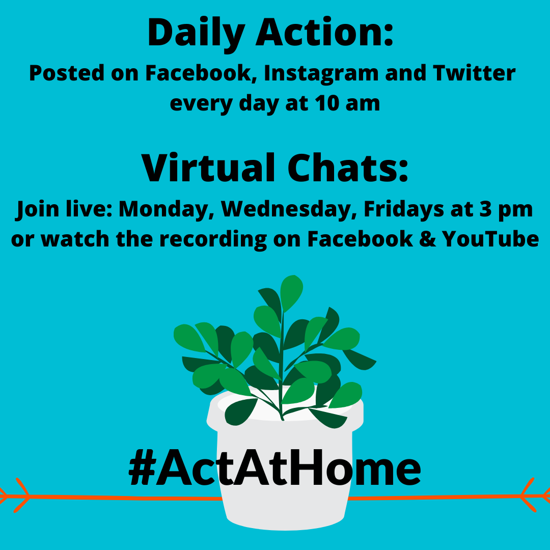 Image reads "Daily Action:  Posted on Facebook, Instagram and Twitter  every day at 10 am  Virtual Chats: Join live: Monday, Wednesday, Fridays at 3 pm or watch the recording on Facebook & YouTube"