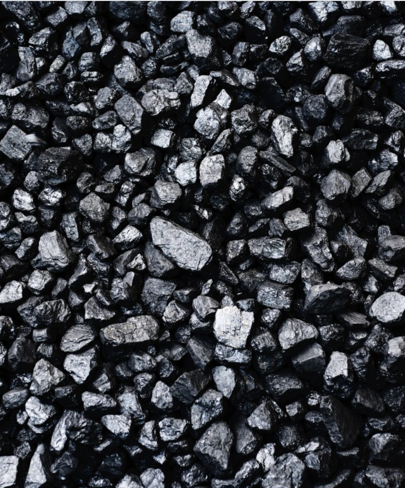 Pieces of coal