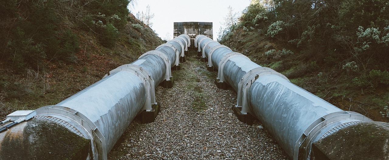Twin pipelines cutting through a forest