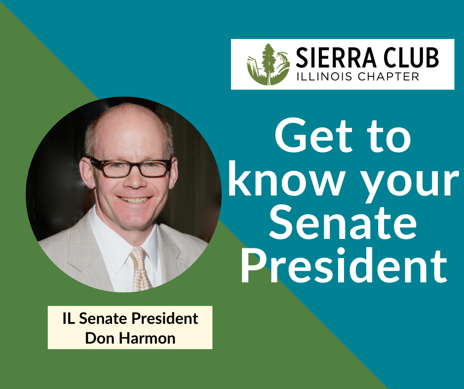 Get to know senate president Don Harmon