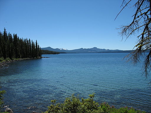 Waldo Lake A large clear blue lake with evergreens alongside