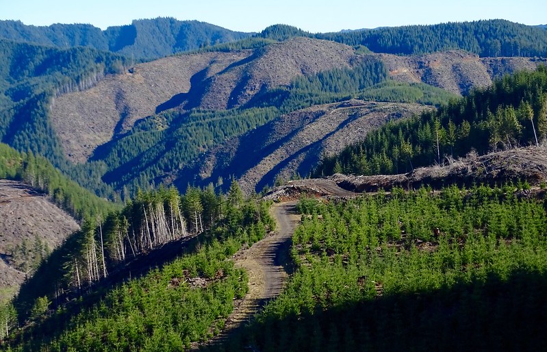 Oregon hillsides with a patchwork of barren soil from clear cuts and tree plantations.