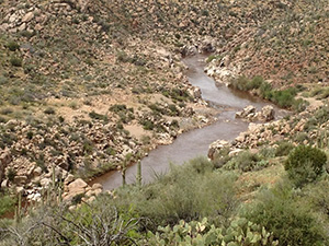 Salt River