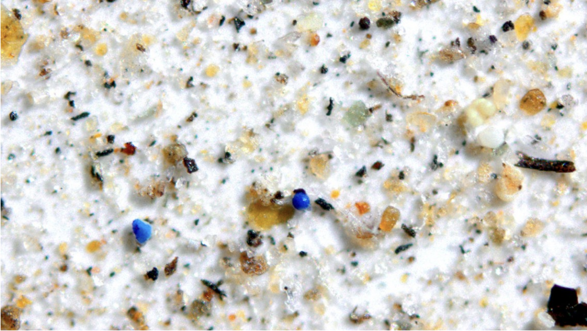Microscopic view of dust particle containing plastic