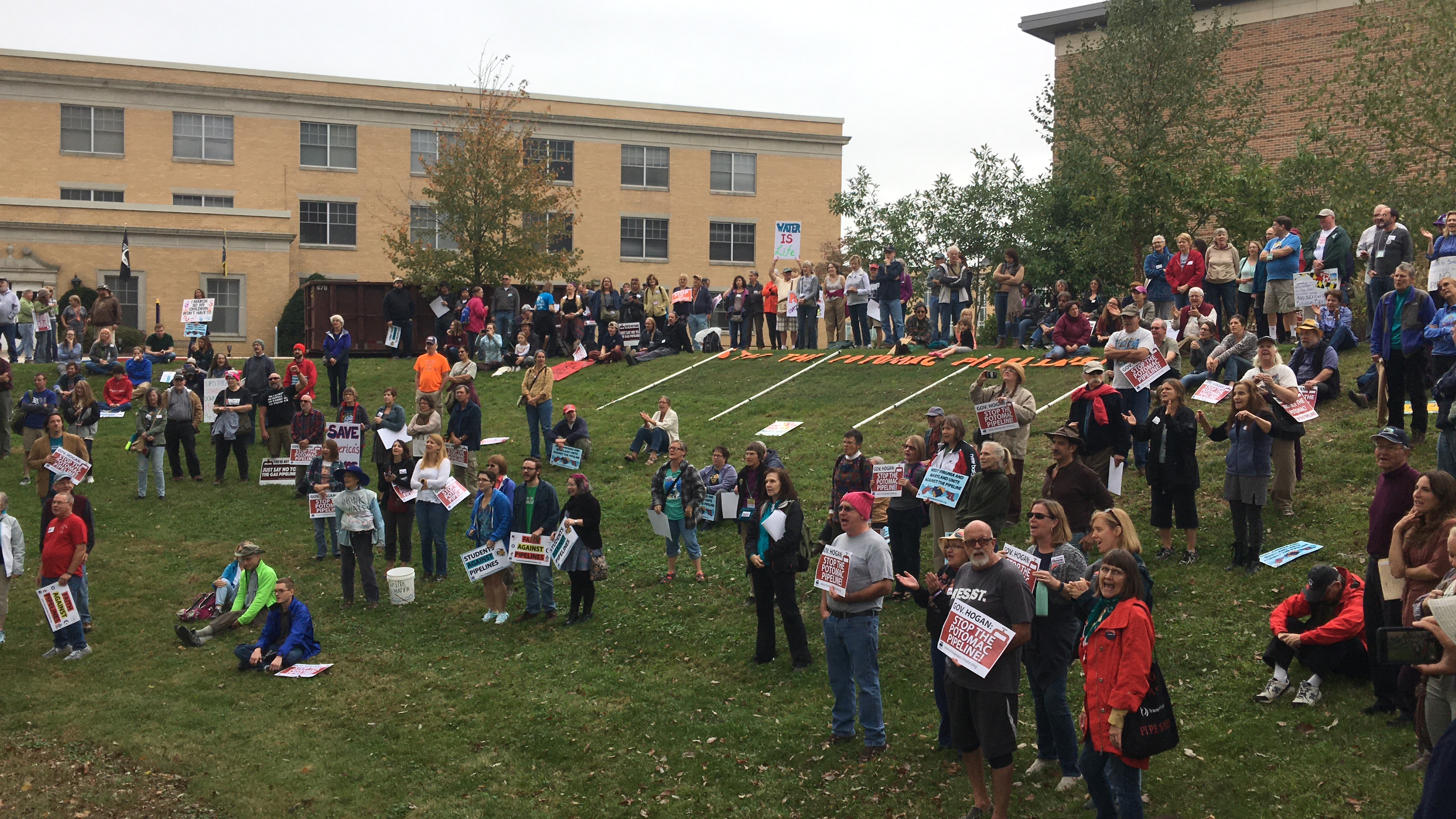 Crowd gathered in a field
