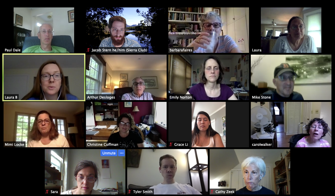 volunteers on Zoom