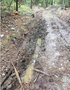 Post-cut; soil damage