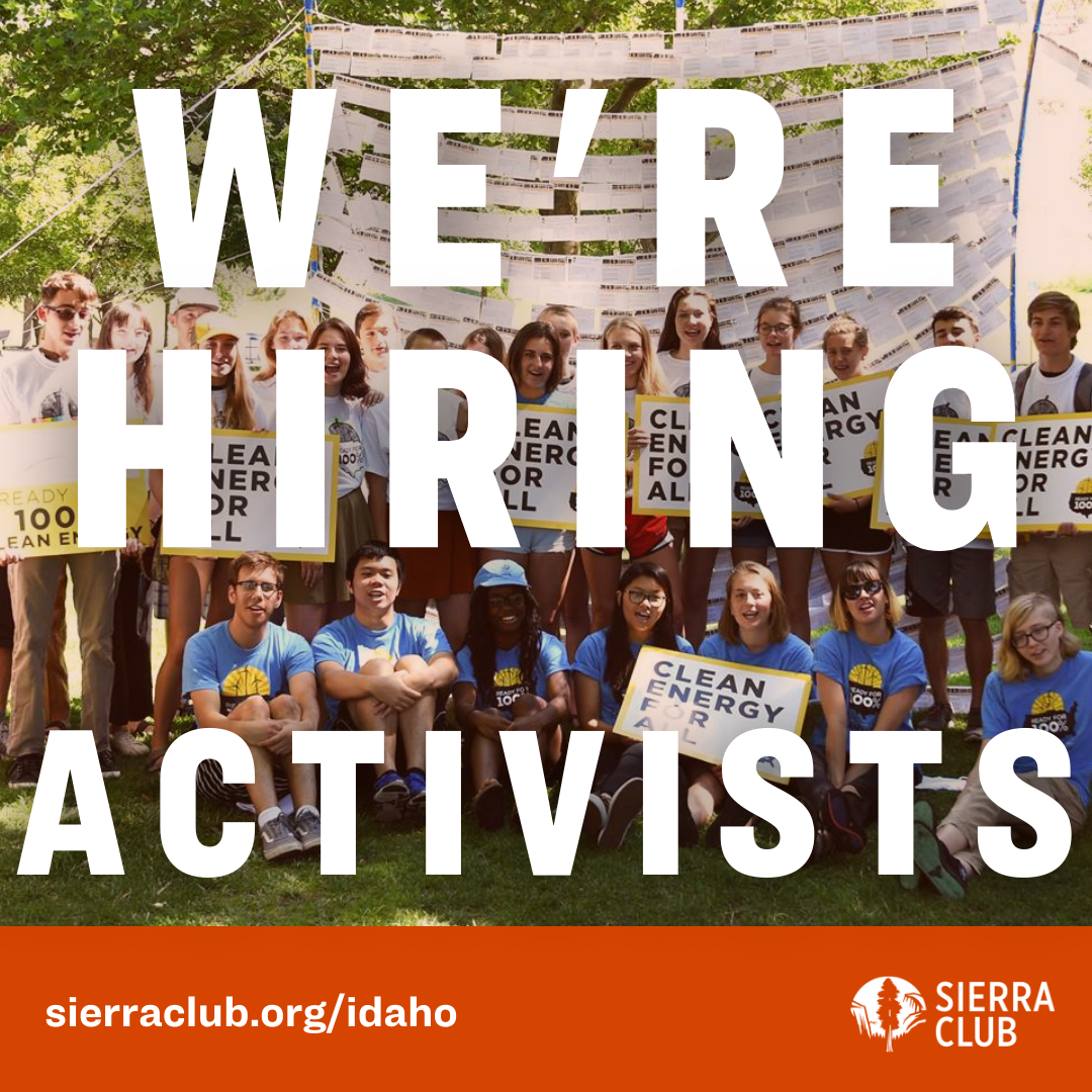 "We're Hiring Activists" on picture of group of youth outside with signs that read "100% Clean Energy for All"
