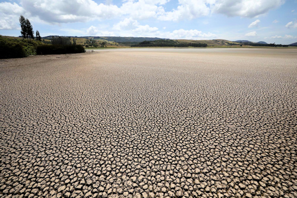 cracked mud