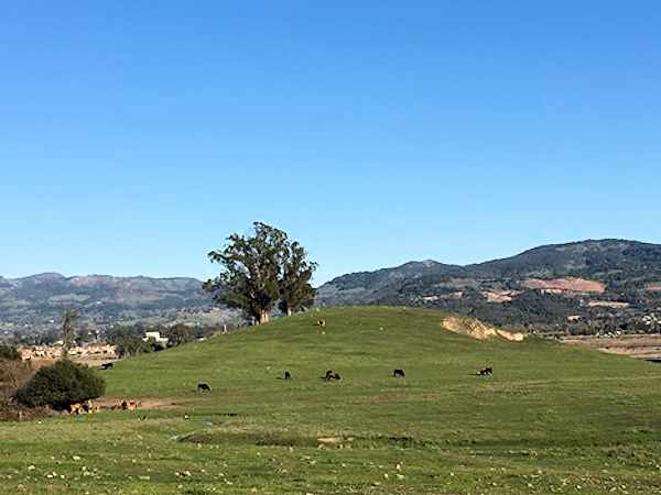 Ghisletta Ranch, Napa