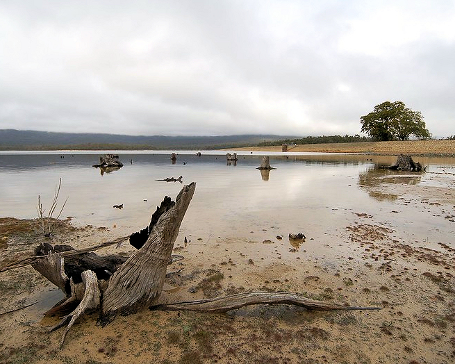 drought photo by berit barton