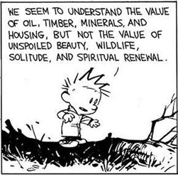 cartoon