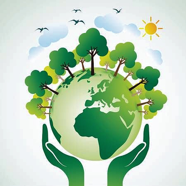 Green Earth: Luontokasvatus by Mila Sjöholm.