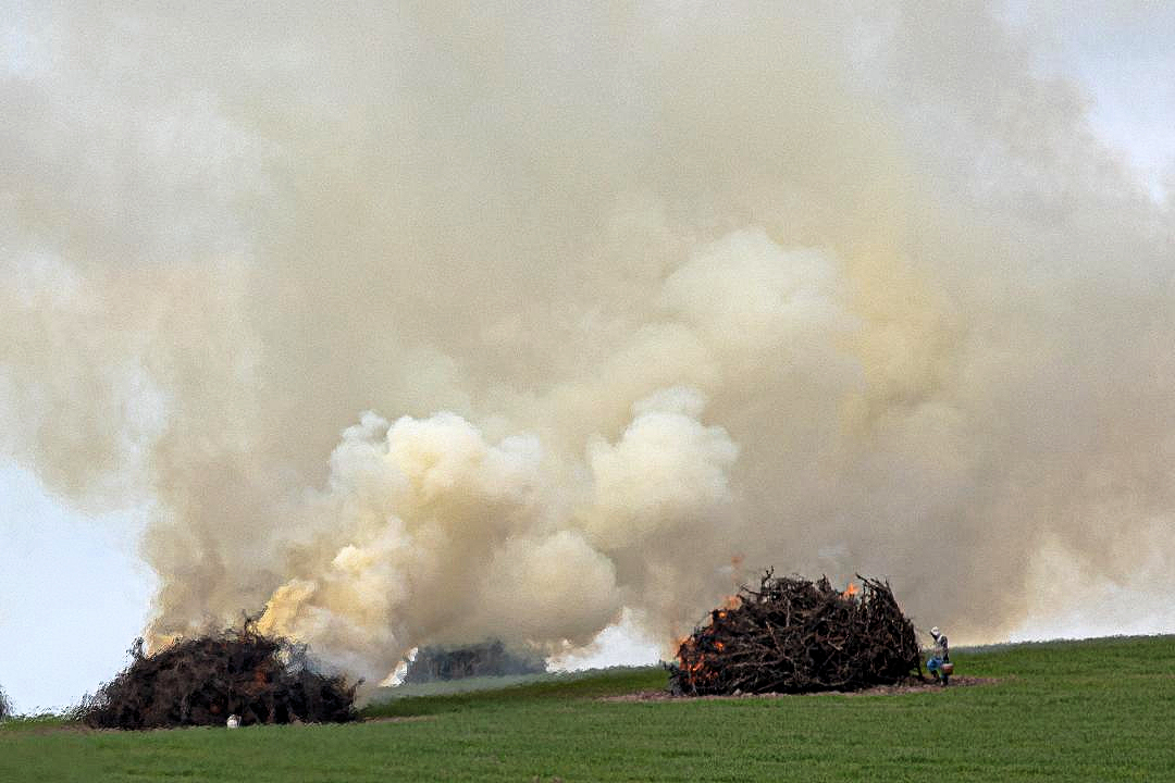 vineyards burn 1