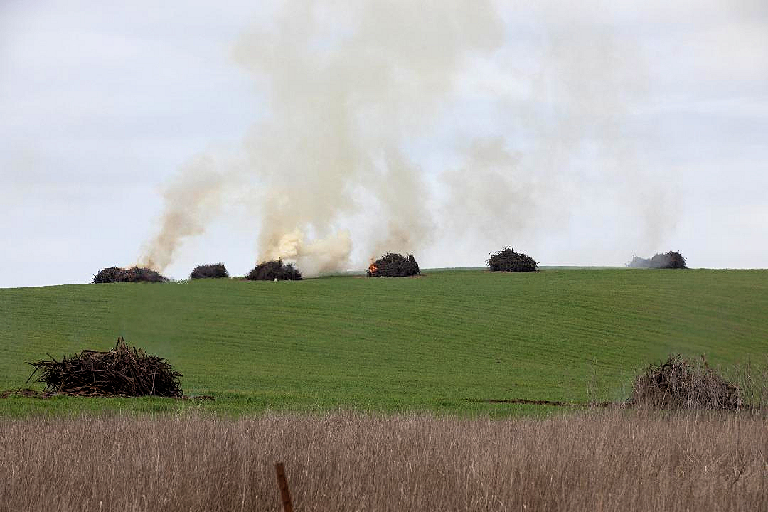 vineyards burn 2