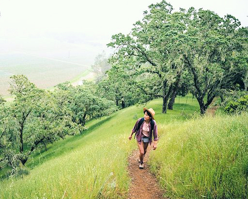 walking in Skyline park