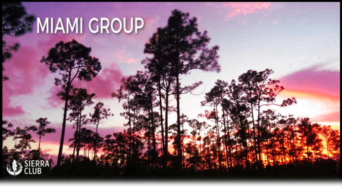 Miami Group Newsletter Logo