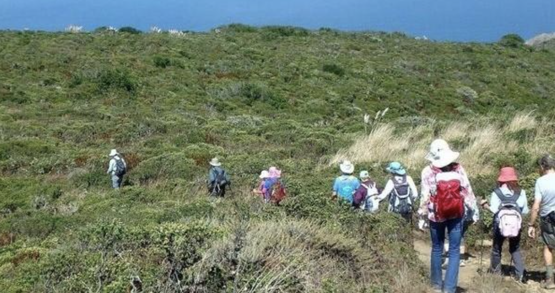 On the trail at San Pedro Peak, by Irene Carter